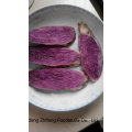 Свежие 2015 китайский фиолетовый Батат с качеством экспорта 